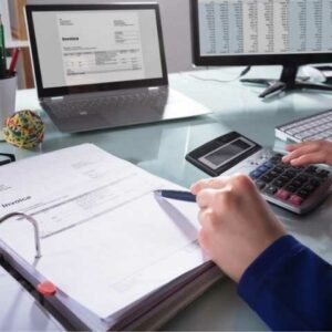 Financial Accounting Professional Certificate