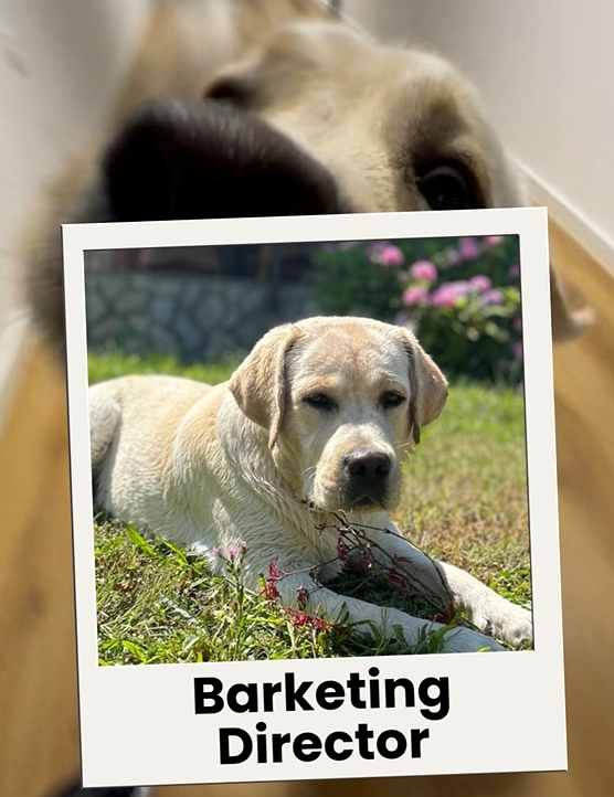 SSBM international dog day