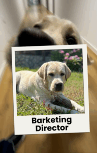 SSBM new hire