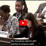SSBM at the United Nations Council