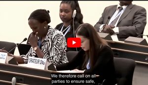 SSBM at the United Nations Council